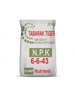 Tabarak Tiger 43 - 6 – 6